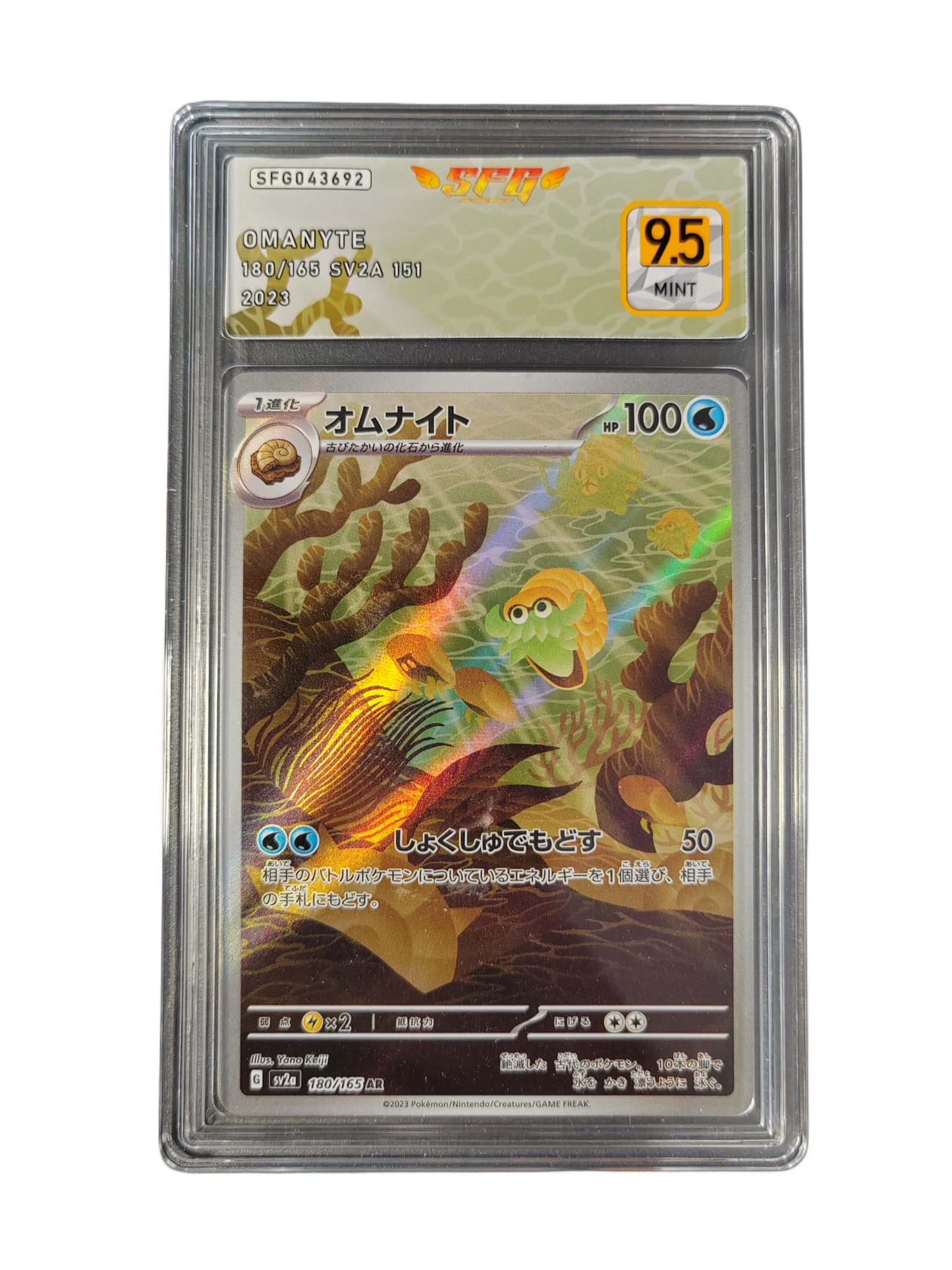 AMONITA (Omanyte) 180/165 - sv2a - SFG 9.5 - Pokémon japonais
