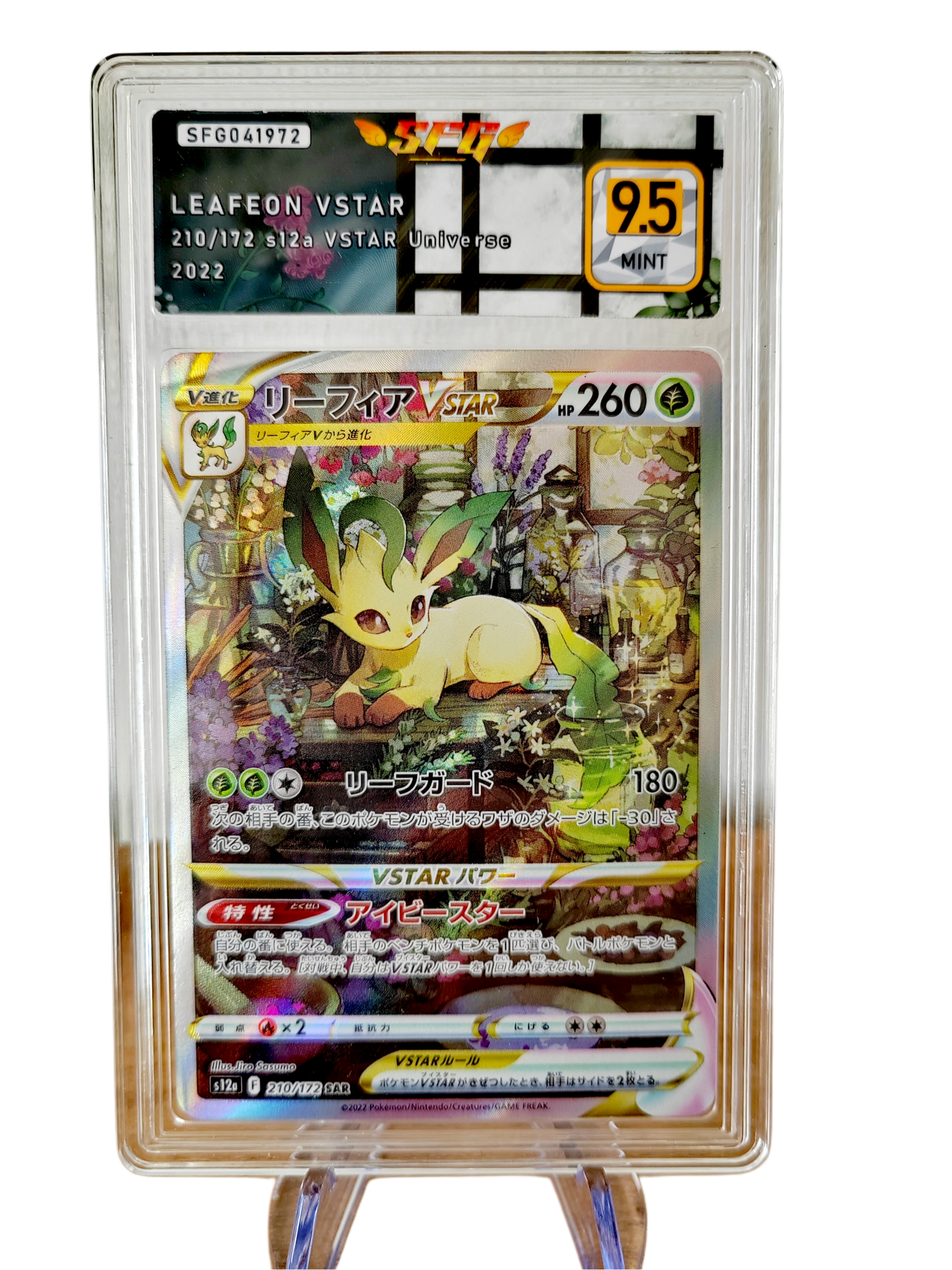 PHYLLALI vstar 210/172 s12a graded 9.5
