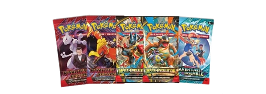 Coffret Collection Figurine Méga LUCARIO Ex - Pokémon français