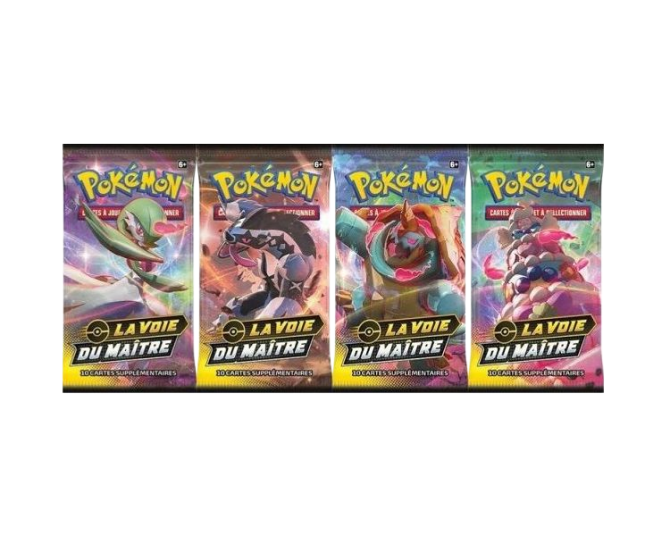 Coffret Ludester - La voie du maître - Pokémon français officiel