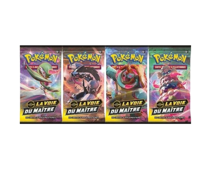 Coffret Ludester - La voie du maître - Pokémon français officiel