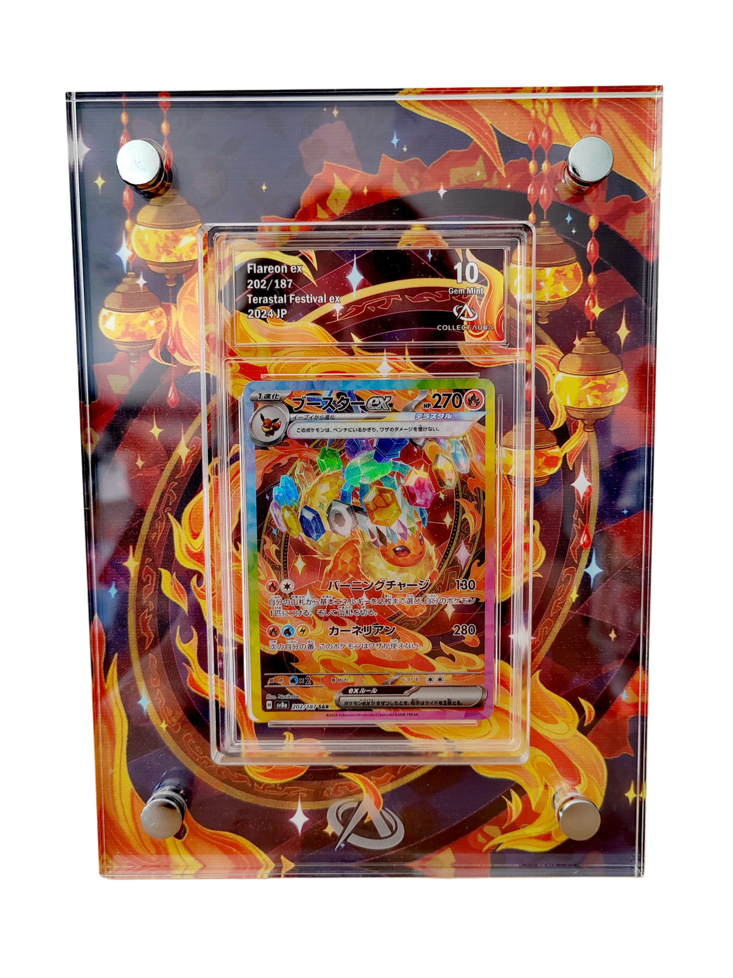 PYROLI (Flareon) ex 202/187 graded Collect Aura 10 + frame (sv8a Terastal Festival)